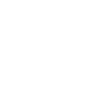 Vereinigte Sportfreunde 1924